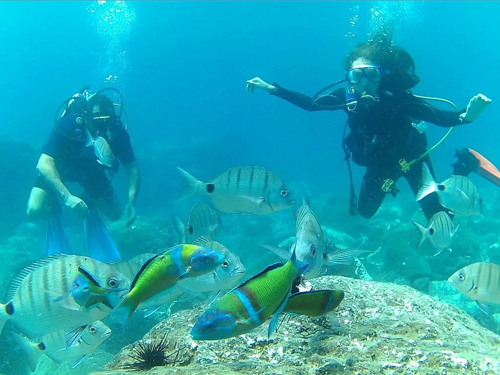 diving los gigantes