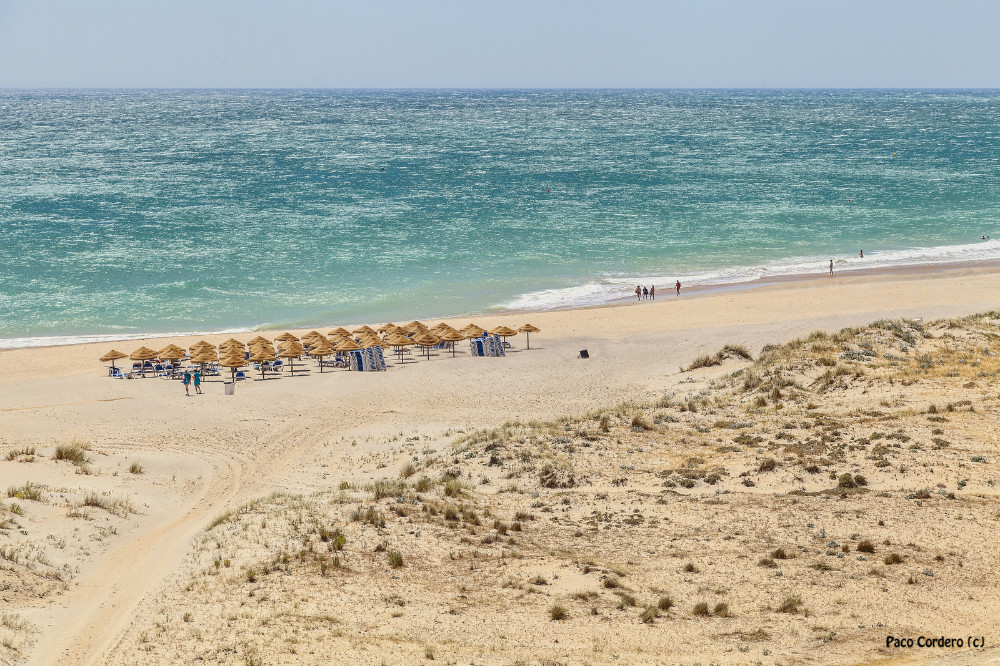 Playa de La Fontanilla, Cádiz