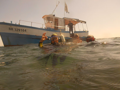 Quiberon Diving - Reviews