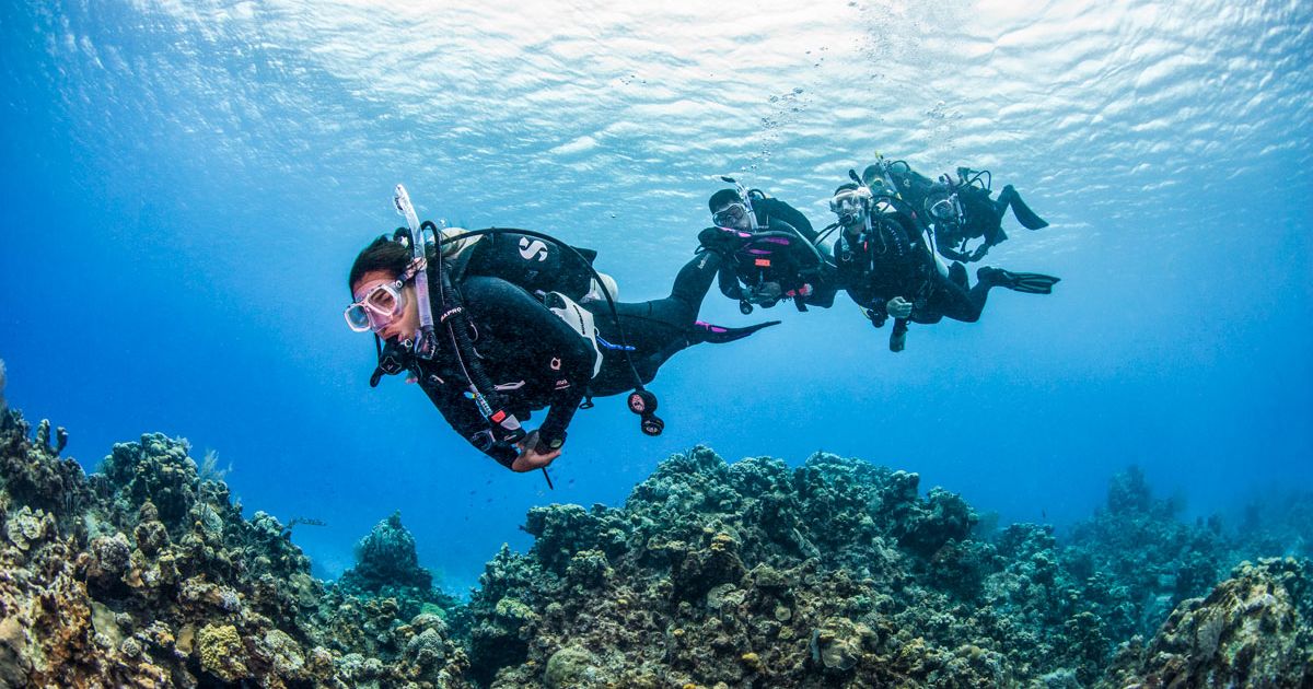 Centre de plongée Fréjus : DIVE IS FUN - Baptême, Formation, Exploration à Fréjus et St Aygulf - Reviews