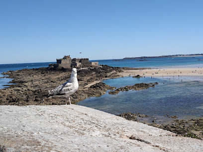 Saint Malo Emerald Diving - Reviews