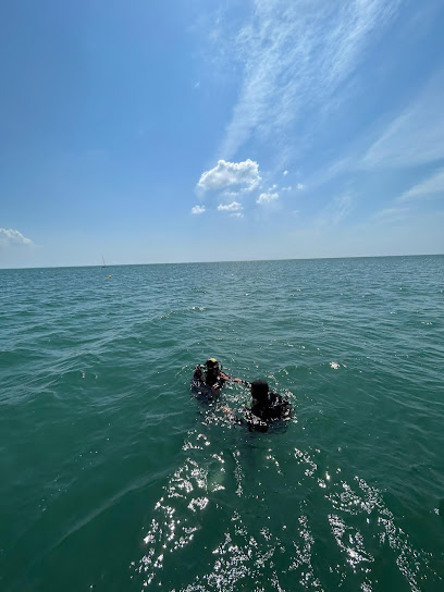 Cape Ocean Plongée Noirmoutier - Reviews