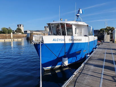 Cherbourg Natation Plongée - Reviews