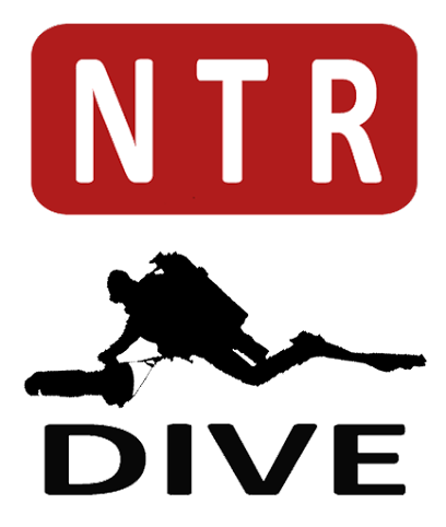 NTR DIVE - Reviews