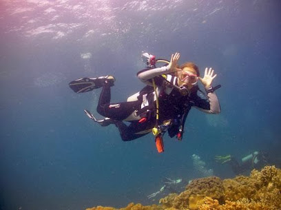 Dive Travel Company - Reviews