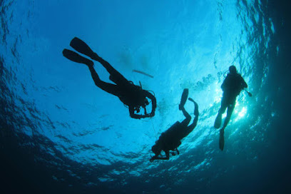 Blue Hole Diving Nord Europe - Reviews