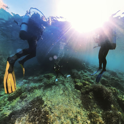 Centre de plongée sous-marine, voile et yoga - Aora Exploration - Reviews