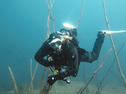 DiveCenter Stuttgart Tauchschule - Reviews