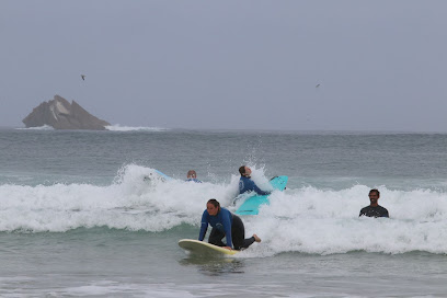 Tribo Do Mar Surf and Sup School Peniche Portugal - Reviews