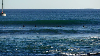 SURFIN S. Pedro Surf School - Reviews