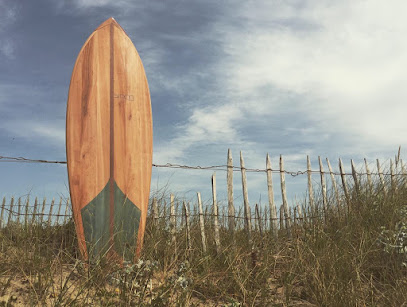 Sinon Surfboards - Reviews