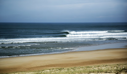 Happy Surfing Hossegor - Reviews