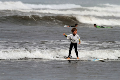 Surf School De Bretagne, Twentynine SurfCo - Reviews