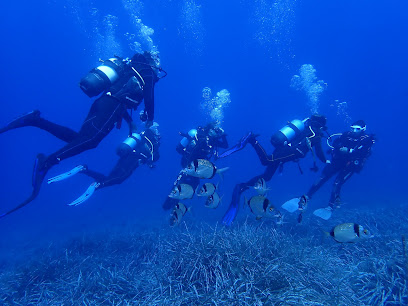 Bluelba diving center - Reviews