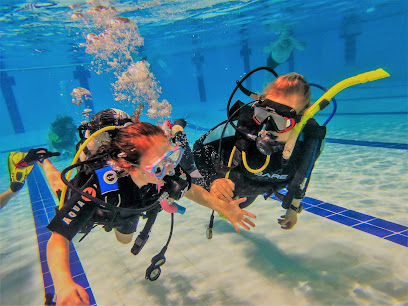 Divecor Adventures Diveheart PADI Recreational Dive centre - Reviews