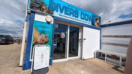 Divers Down - Reviews