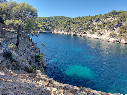 Cassis Calanques Plongée - Reviews