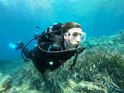 Nethuns Diving centre de plongée sous-marine - Reviews