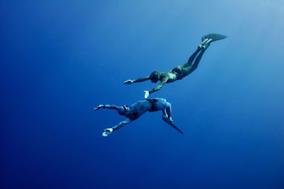 Freediving Center Germany - Reviews