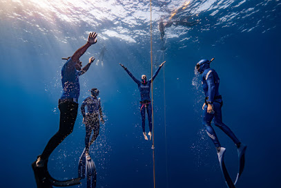 Blue Embrace Freediving - Reviews