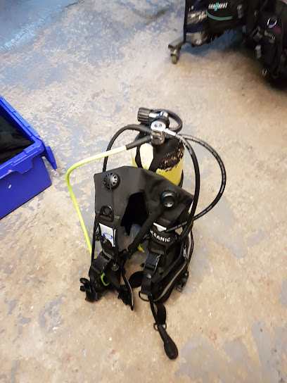 Probe Diving Services - Reviews