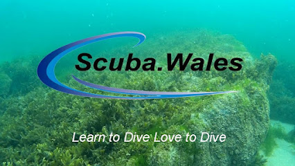 Scuba Wales - Reviews