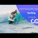 Best Surfing Beaches in Benijo