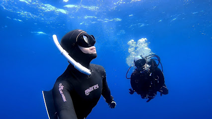 Best dive centers in Horta, Portugal