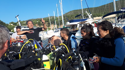 Best dive centers in Oeiras, Portugal