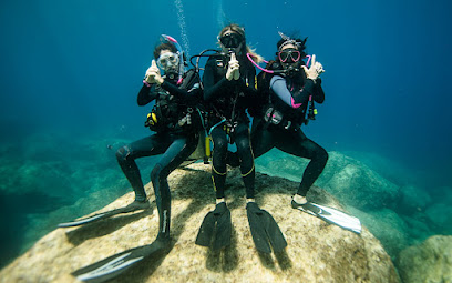 Best dive centers in Portimão, Portugal