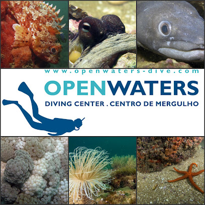 Best dive centers in Quarteira, Portugal