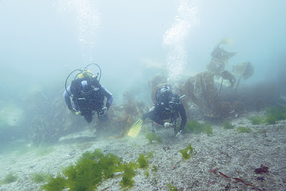 Best dive centers in Ribeira