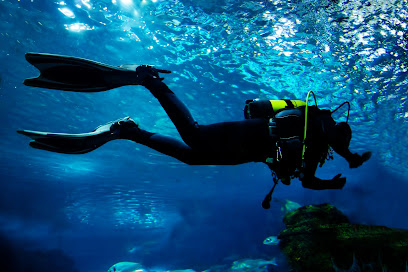 Best dive centers in Baiona