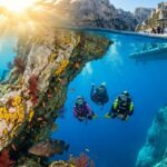 Best 5 Dive Centers in Marseille